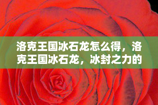 洛克王国冰石龙怎么得，洛克王国冰石龙，冰封之力的神秘传说