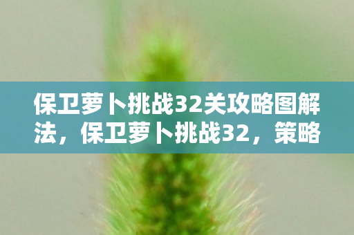 保卫萝卜挑战32关攻略图解法，保卫萝卜挑战32，策略与智慧的双重考验