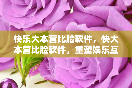 快乐大本营比脸软件，快大本营比脸软件，重塑娱乐互动新体验