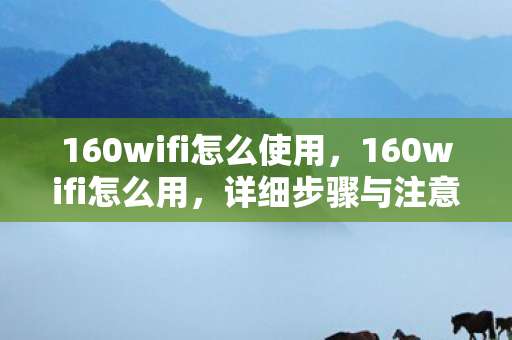 160wifi怎么使用，160wifi怎么用，详细步骤与注意事项