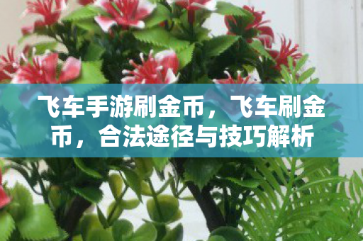 飞车手游刷金币，飞车刷金币，合法途径与技巧解析