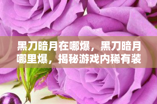 黑刀暗月在哪爆，黑刀暗月哪里爆，揭秘游戏内稀有装备掉落点