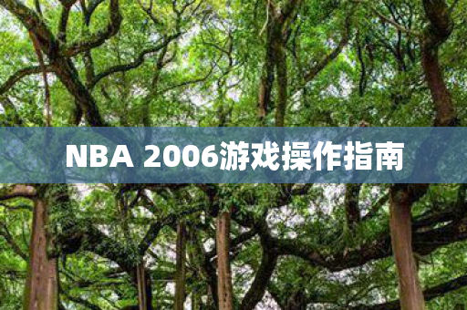 NBA 2006游戏操作指南 NBA 2006游戏操作指南