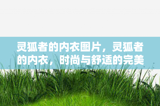 灵狐者的内衣图片，灵狐者的内衣，时尚与舒适的完美结合