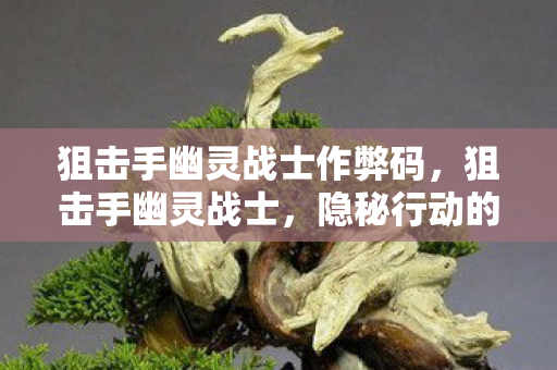 狙击手幽灵战士作弊码，狙击手幽灵战士，隐秘行动的艺术