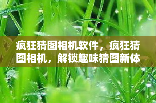 疯狂猜图相机软件，疯狂猜图相机，解锁趣味猜图新体验