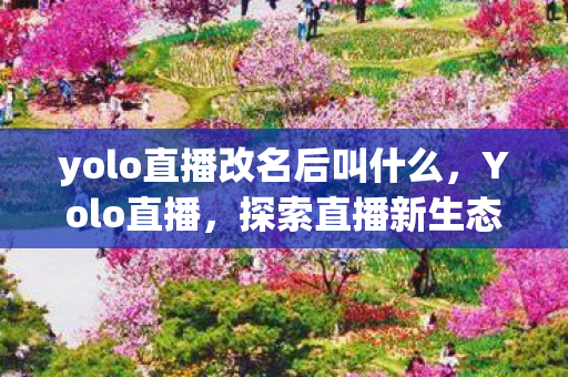 yolo直播改名后叫什么，Yolo直播，探索直播新生态，引领娱乐新潮流