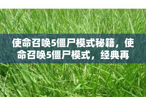 使命召唤5僵尸模式秘籍，使命召唤5僵尸模式，经典再现，回忆杀！
