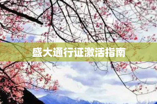 盛大通行证激活指南