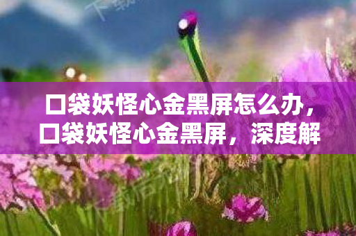 口袋妖怪心金黑屏怎么办，口袋妖怪心金黑屏，深度解析与解决方案