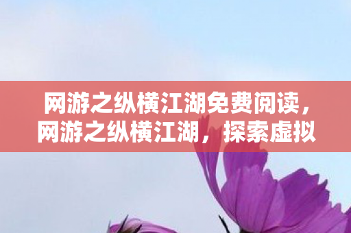 网游之纵横江湖免费阅读，网游之纵横江湖，探索虚拟世界的无限可能