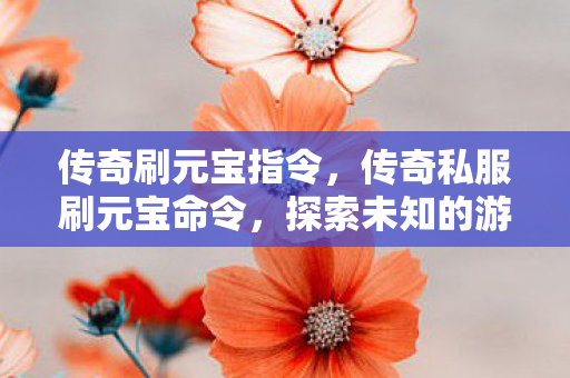 传奇刷元宝指令，传奇私服刷元宝命令，探索未知的游戏世界