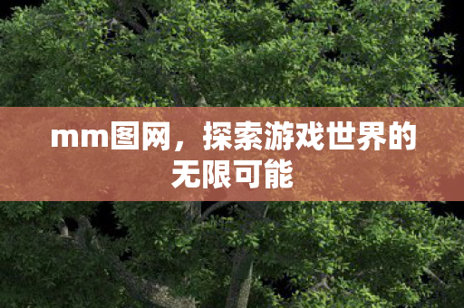 mm图网，探索游戏世界的无限可能