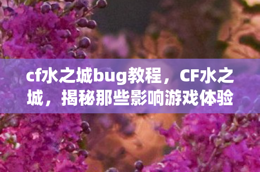cf水之城bug教程，CF水之城，揭秘那些影响游戏体验的BUG