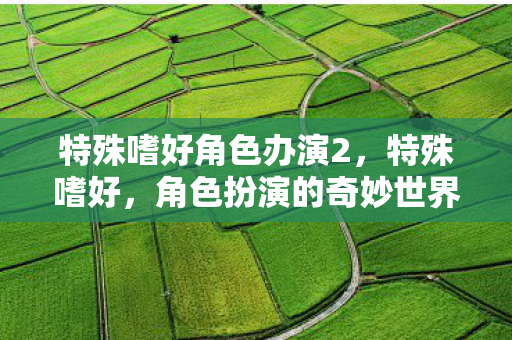 特殊嗜好角色办演2，特殊嗜好，角色扮演的奇妙世界
