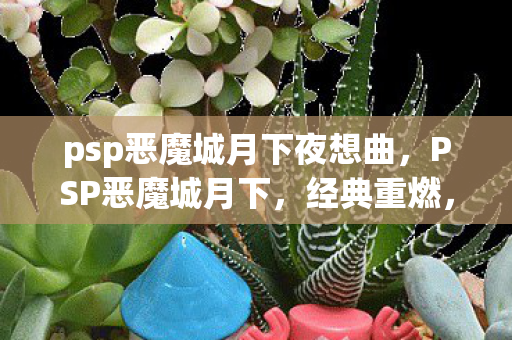 psp恶魔城月下夜想曲，PSP恶魔城月下，经典重燃，月下再现