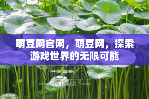 萌豆网官网，萌豆网，探索游戏世界的无限可能