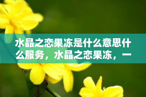 水晶之恋果冻是什么意思什么服务，水晶之恋果冻，一场浪漫与甜蜜的邂逅