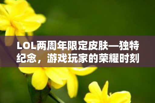 LOL两周年限定皮肤—独特纪念，游戏玩家的荣耀时刻