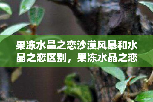 果冻水晶之恋沙漠风暴和水晶之恋区别，果冻水晶之恋，探索梦幻世界的浪漫之旅