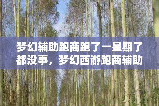梦幻辅助跑商跑了一星期了都没事，梦幻西游跑商辅助器，提升游戏效率与乐趣的利器
