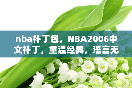 nba补丁包，NBA2006中文补丁，重温经典，语言无界