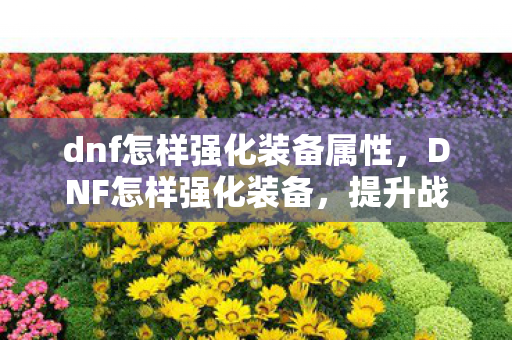 dnf怎样强化装备属性，DNF怎样强化装备，提升战斗力的关键步骤