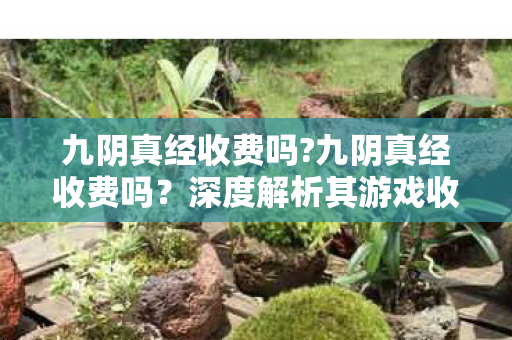 九阴真经收费吗?九阴真经收费吗？深度解析其游戏收费模式