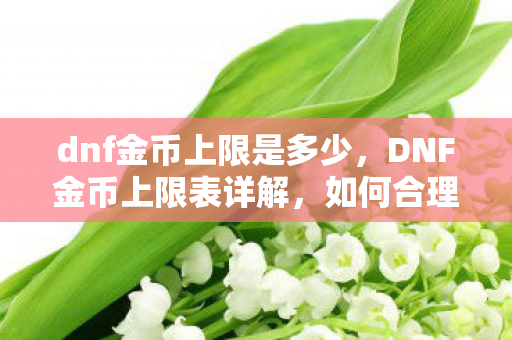 dnf金币上限是多少，DNF金币上限表详解，如何合理管理游戏资源