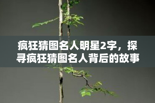 疯狂猜图名人明星2字，探寻疯狂猜图名人背后的故事，智慧与创意的碰撞