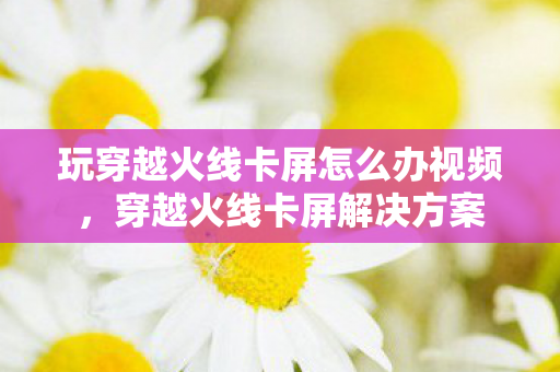 玩穿越火线卡屏怎么办视频，穿越火线卡屏解决方案