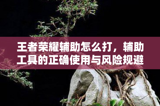 王者荣耀辅助怎么打，辅助工具的正确使用与风险规避