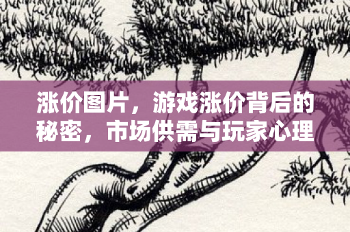 涨价图片，游戏涨价背后的秘密，市场供需与玩家心理的双刃剑