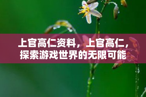 上官高仁资料，上官高仁，探索游戏世界的无限可能
