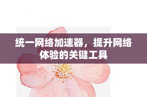 统一网络加速器，提升网络体验的关键工具