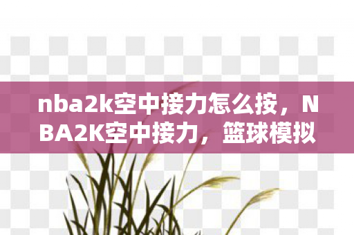 nba2k空中接力怎么按，NBA2K空中接力，篮球模拟的极致艺术