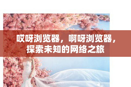 哎呀浏览器，啊呀浏览器，探索未知的网络之旅