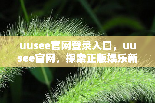 uusee官网登录入口，uusee官网，探索正版娱乐新体验