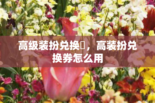 高级装扮兑换劵，高装扮兑换券怎么用