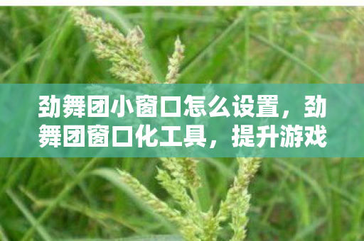 劲舞团小窗口怎么设置，劲舞团窗口化工具，提升游戏自由度的神器