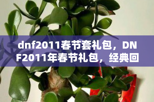 dnf2011春节套礼包，DNF2011年春节礼包，经典回忆与独特魅力