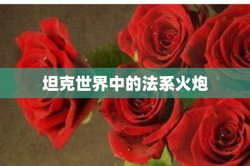 坦克世界中的法系火炮 坦克世界中的法系火炮
