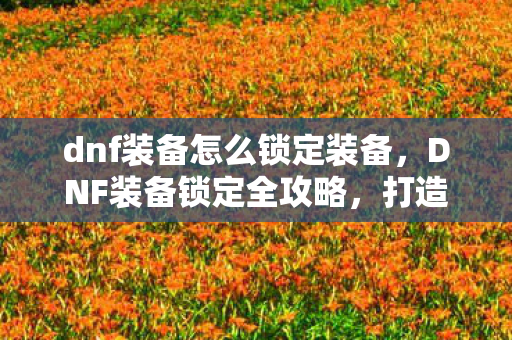 dnf装备怎么锁定装备，DNF装备锁定全攻略，打造安全游戏环境