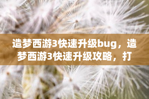 造梦西游3快速升级bug，造梦西游3快速升级攻略，打造你的西游之旅