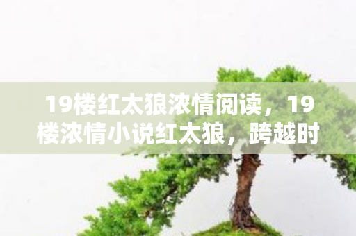 19楼红太狼浓情阅读，19楼浓情小说红太狼，跨越时空的浪漫邂逅