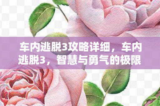 车内逃脱3攻略详细，车内逃脱3，智慧与勇气的极限挑战
