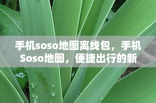 手机soso地图离线包，手机Soso地图，便捷出行的新选择