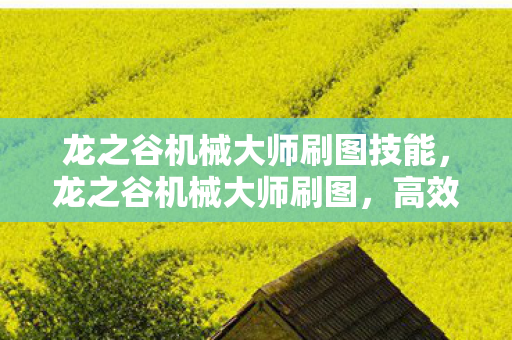 龙之谷机械大师刷图技能，龙之谷机械大师刷图，高效与策略的完美结合