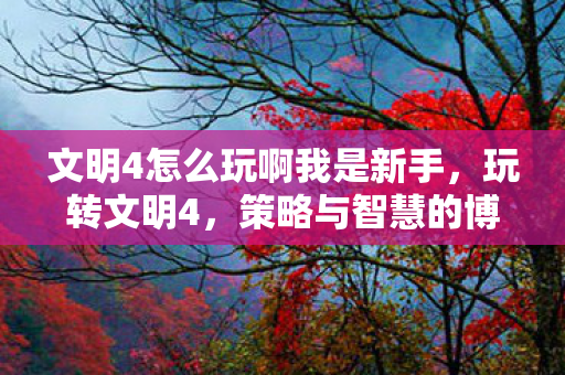 文明4怎么玩啊我是新手，玩转文明4，策略与智慧的博弈