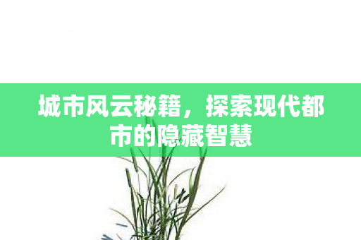 城市风云秘籍,探索现代都市的隐藏智慧 城市风云秘籍,探索现代都市的隐藏智慧